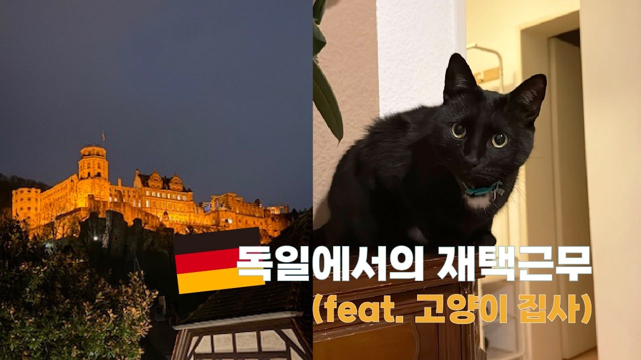🇩🇪독일 외노자의 재택생활 (feat. 일일 고양이집사)
