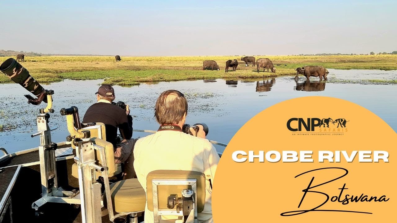 Chobe, Botswana Safari Sep 2022