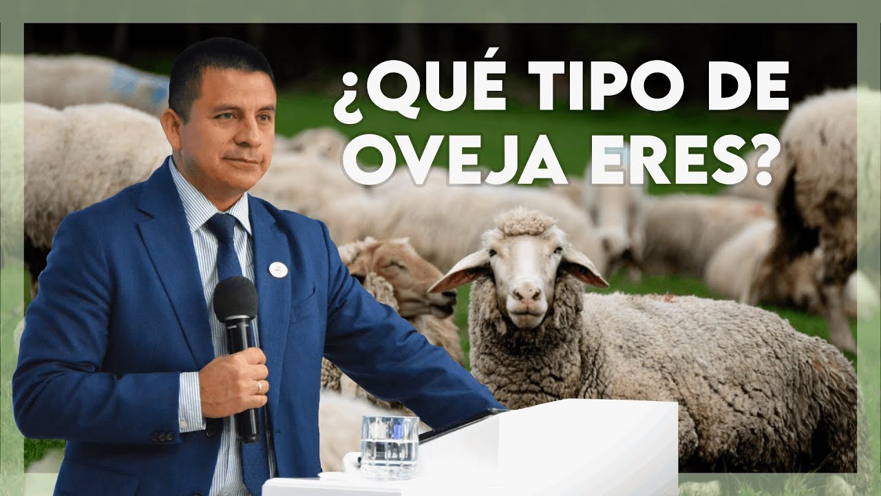 Ps. Josué Muñoz - ¿Qué tipo de oveja eres?
