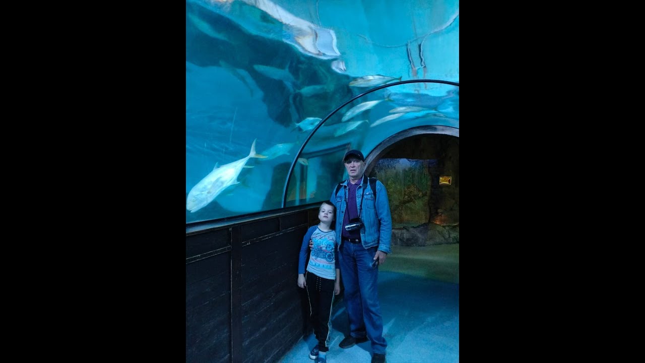Seaquarium - Oceanarium. Moscow.