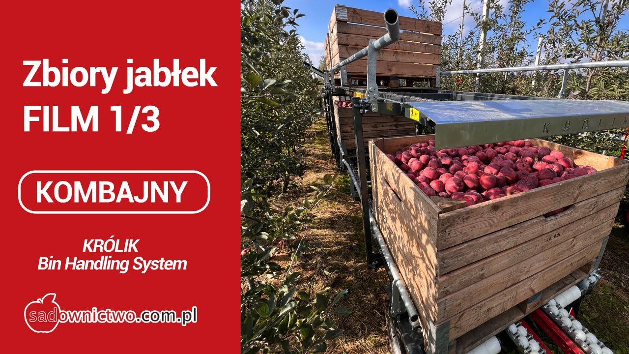 Zbiory jabłek - część 1/3 - KOMBAJNY Munckhof