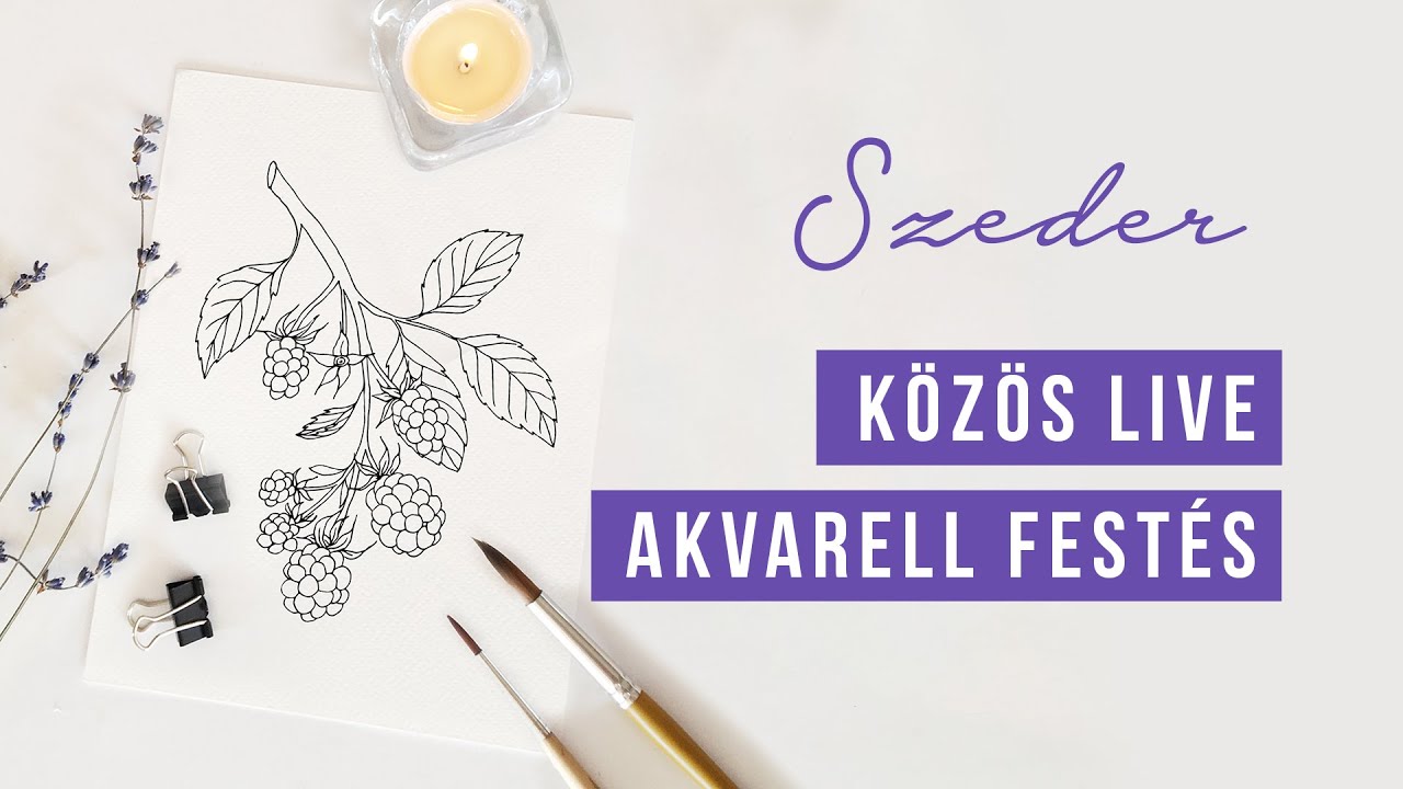 KÖZÖS FESTÉS - Szeder botanikai illusztráció  | akvarell festés kezdőknek