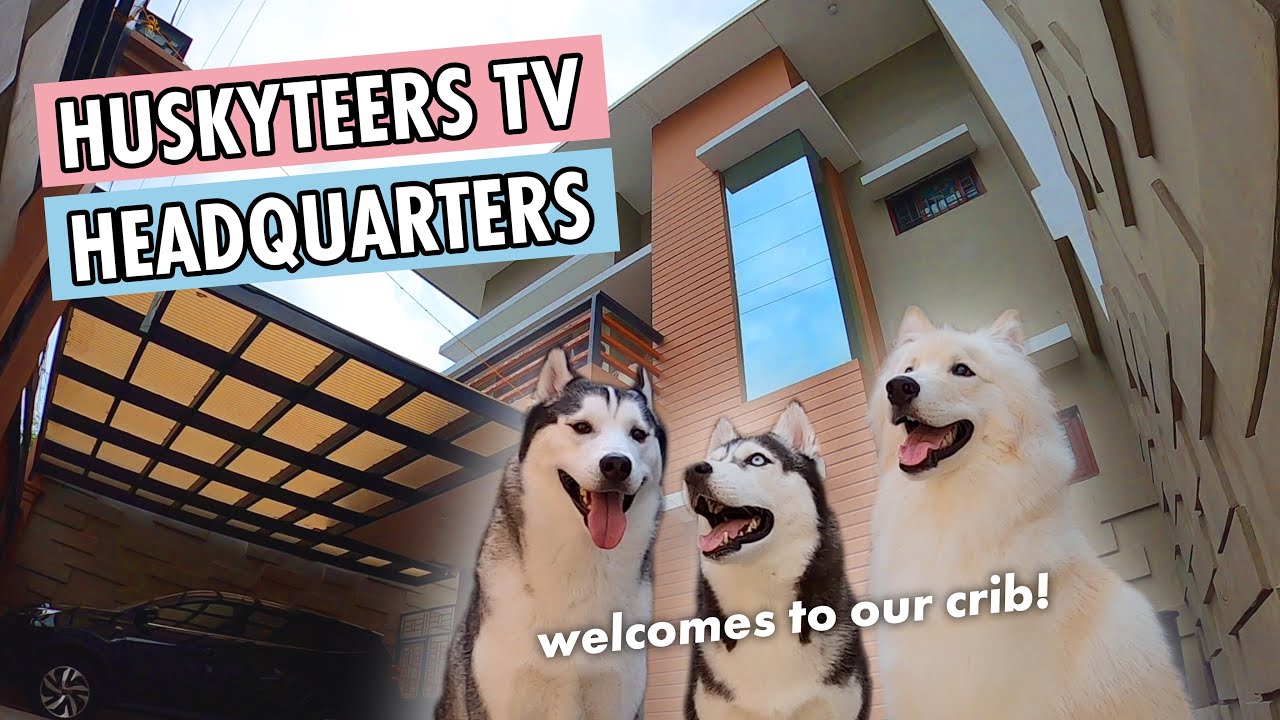 HOUSE TOUR DOG EDITION | HUSKYTEERS TV
