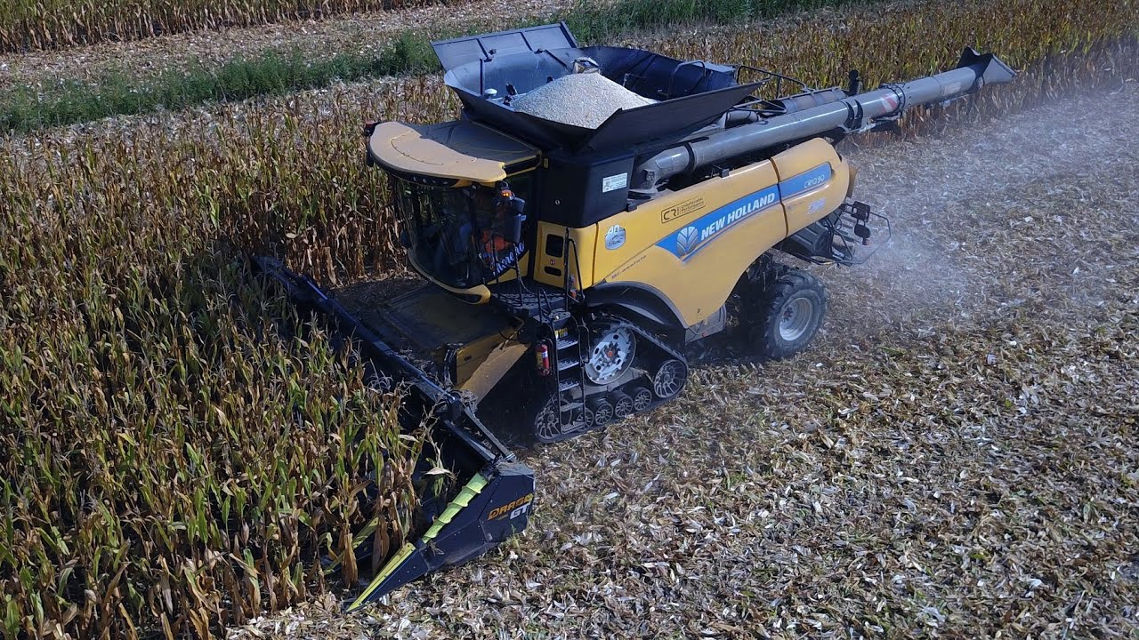 New Holland CR 10.90 | Olimac Drago GT 10 file | Trebbiatura mais 2023