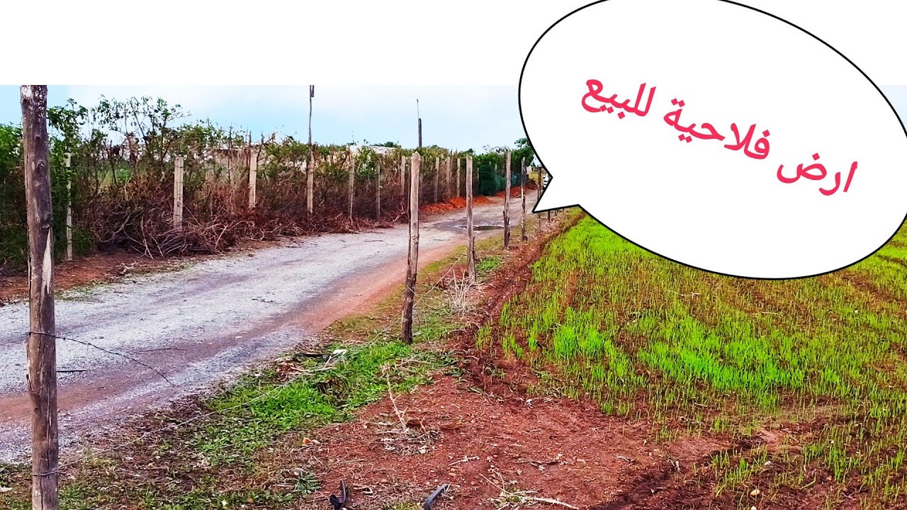 ارض فلاحية بمدينة صخيرات 17500متر مربع للبيع محفضة  قريبة من الطريق 0661400141