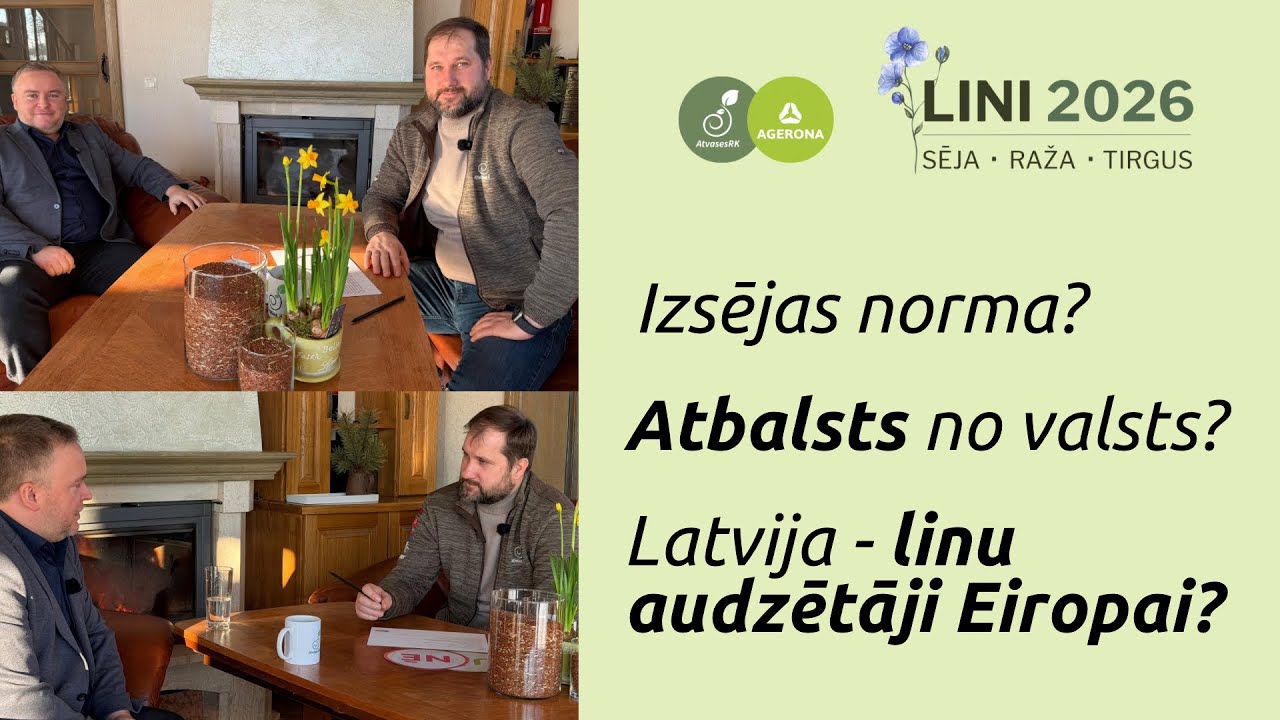 LINI LATVIJĀ - Cik izdevīgi ir audzēt?