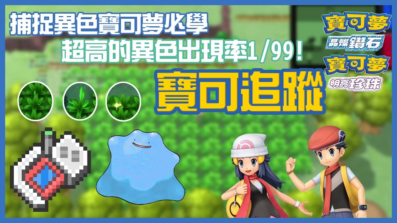 1/99超容易出色違！大家必學的寶可追蹤！【寶可夢晶燦鑽石/明亮珍珠】