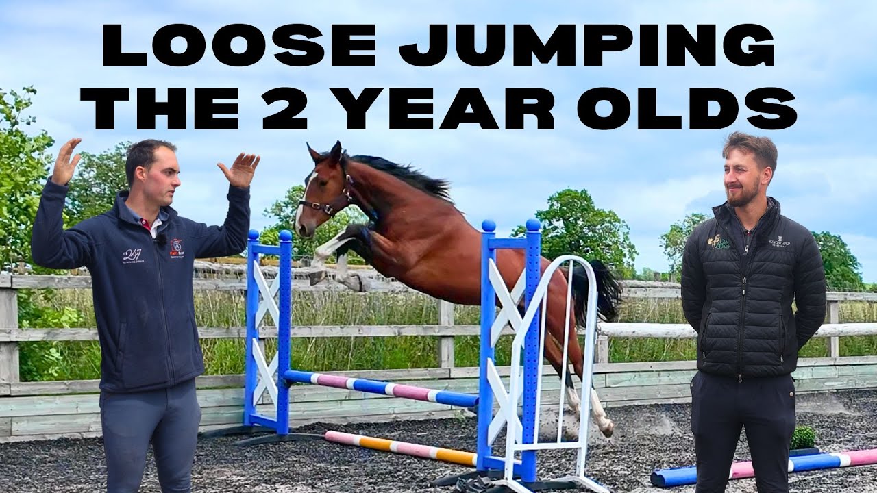 LOOSE JUMPING THE 2 YEAR OLDS! | Showjumping | Young Horses