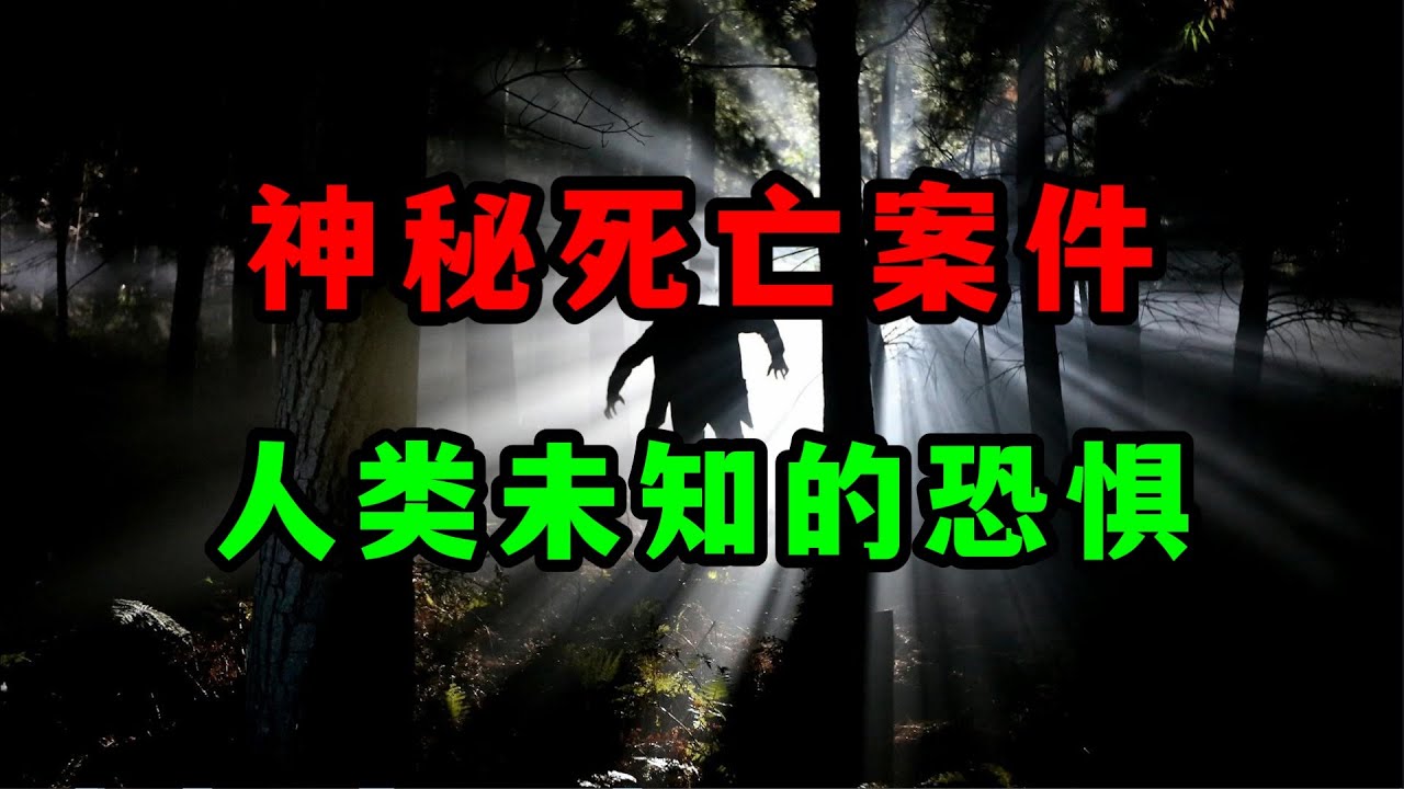 致命日记揭露恐怖真相《那该死的东西》THE DAMNED THING安布罗斯·比尔斯Ambrose Bierce