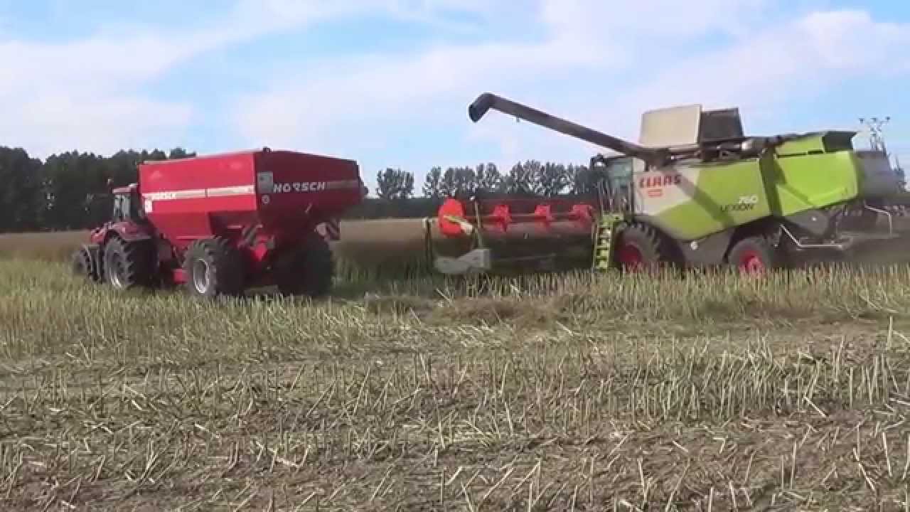 Claas 760 x4 bei der Rapsernte 2014
