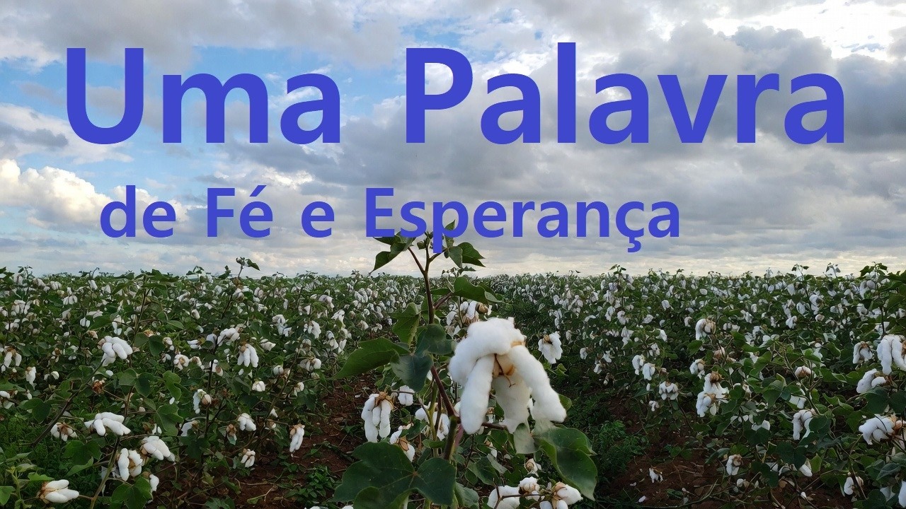 Palavra de Fé e Esperança ao vivo!