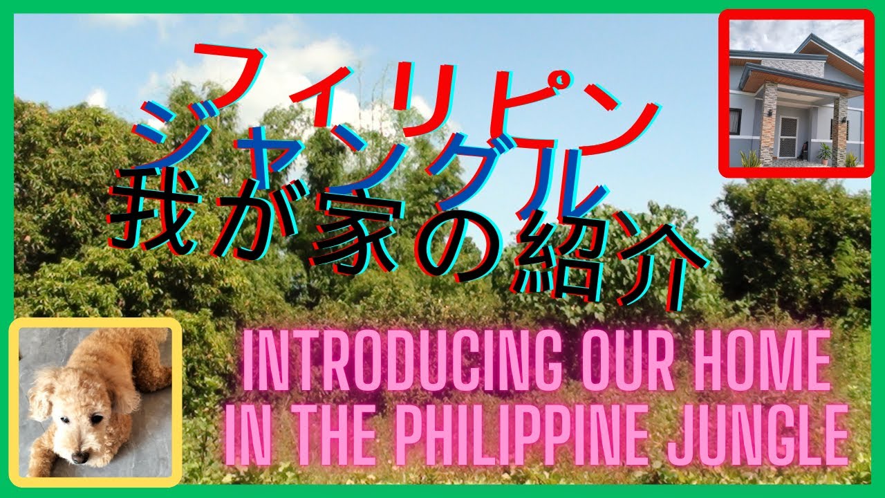 フィリピンジャングル、我が家の紹介。　Introducing our home in the philippihe jungle