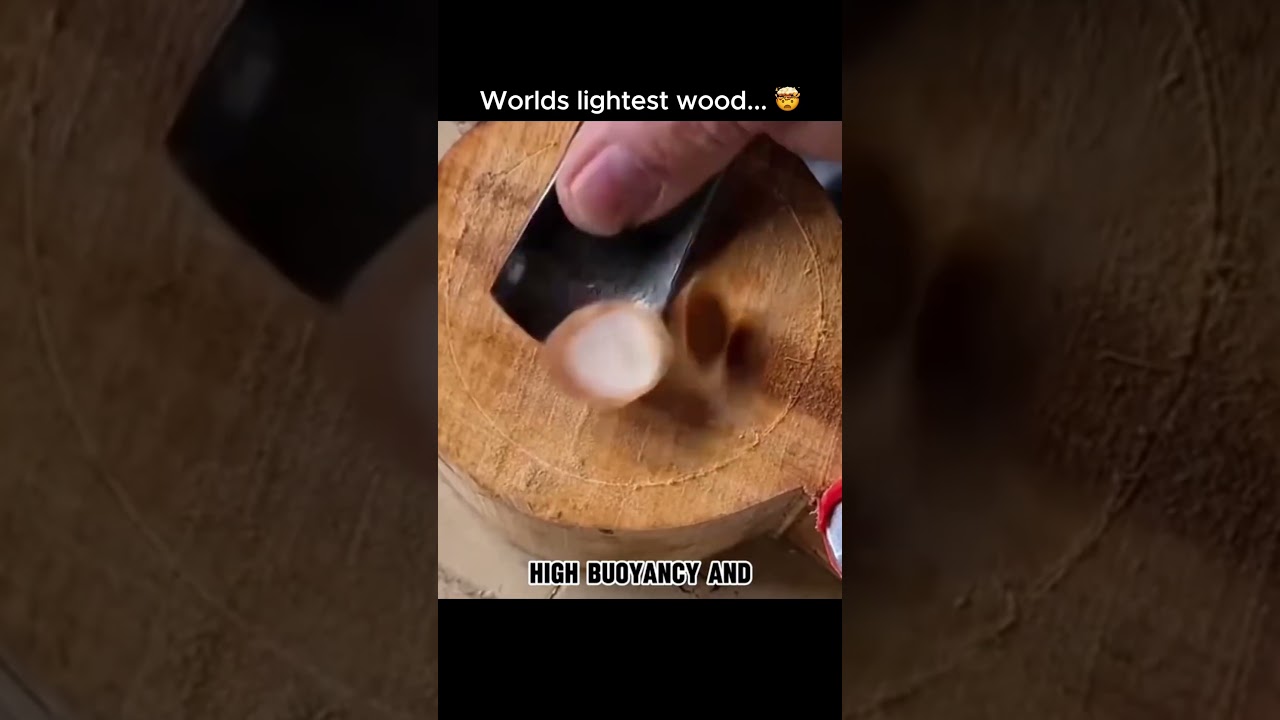 Lightest Wood In The World