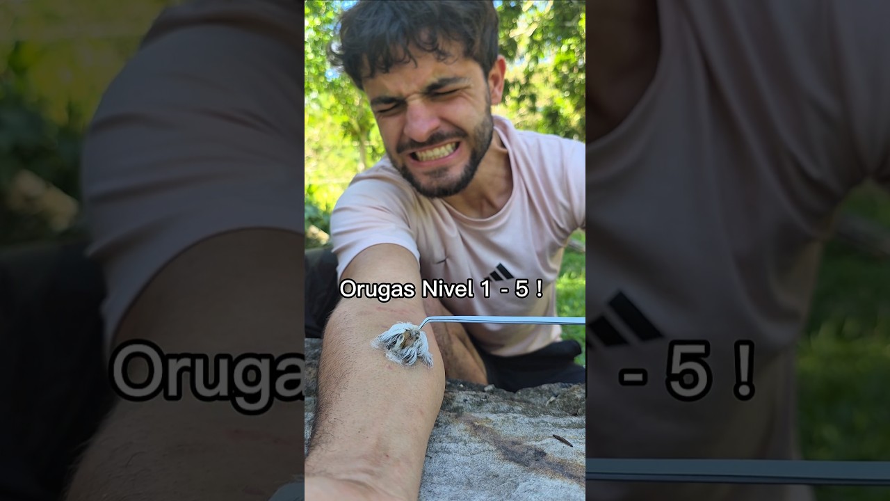 Гусеница уровень 1 - 5 ! 🐛