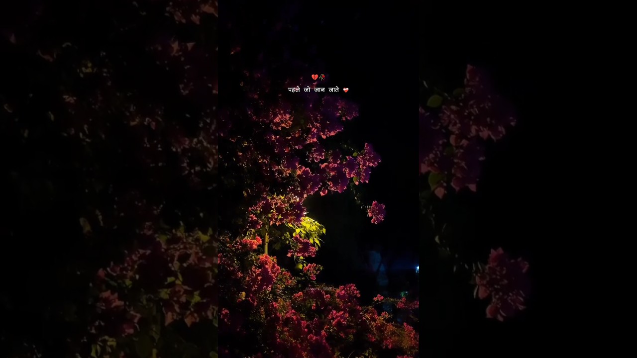 Tujhpe Karke Bharosha Hamne Khaya Hai Dhokha 🥀💔 