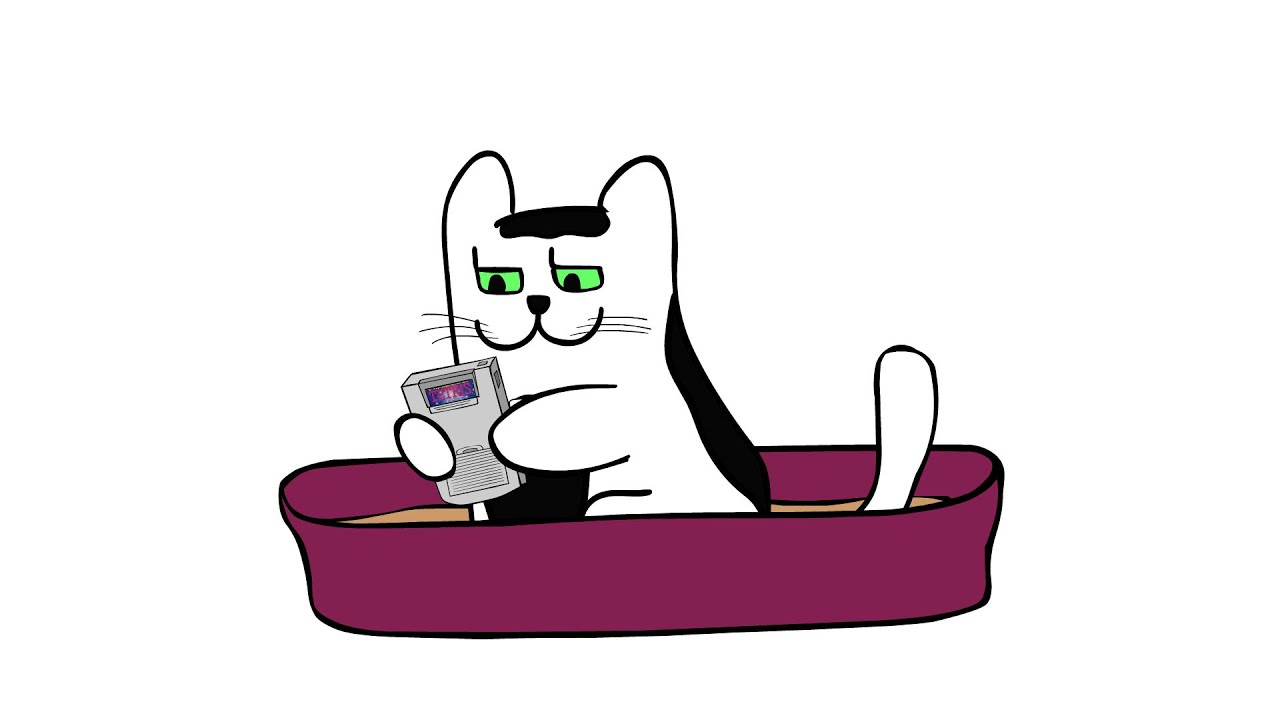 #POLITIGATO 66