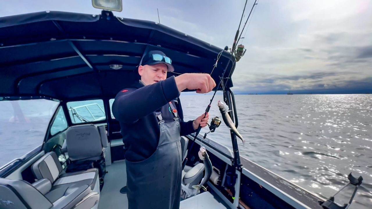 Find Herring Like a Guide: How to Locate and Catch Herring