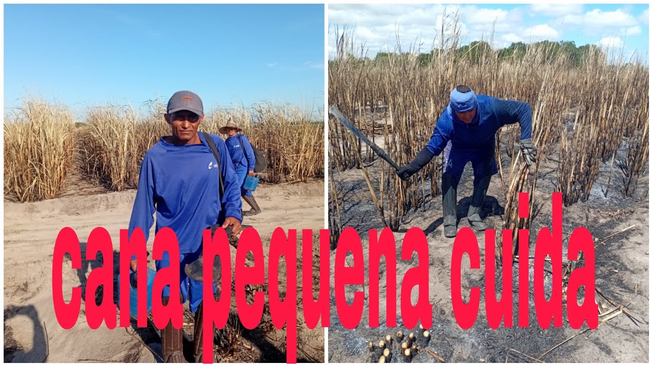 Cuida galera mais um dia 