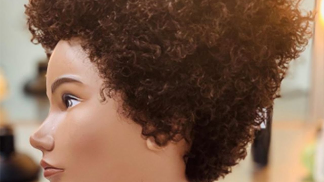 Professionals Who Practice Episode 27: Creative Curly Cut w/ Gerard Scarpaci