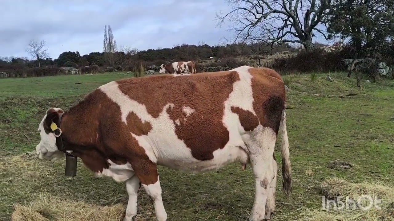 El pequeñín se había quedado enganchado!!!!