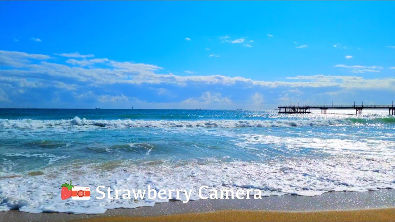 🎵 Sentimental Pop Songs | Music for Quiet Moments by the Sea | Emotional Playlist Vol.2