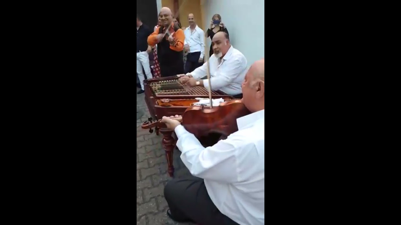 jr. Sárközi Lajos new