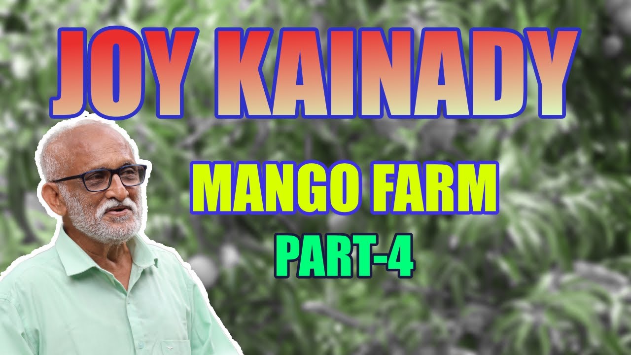 Part-4 | ജോയിച്ചേട്ടന്റെ മാമ്പഴപെരുമ | കുറ്റിയാട്ടൂർ | തൊലികയ്പ്പൻ | Joy Kainady | MS Kottayil