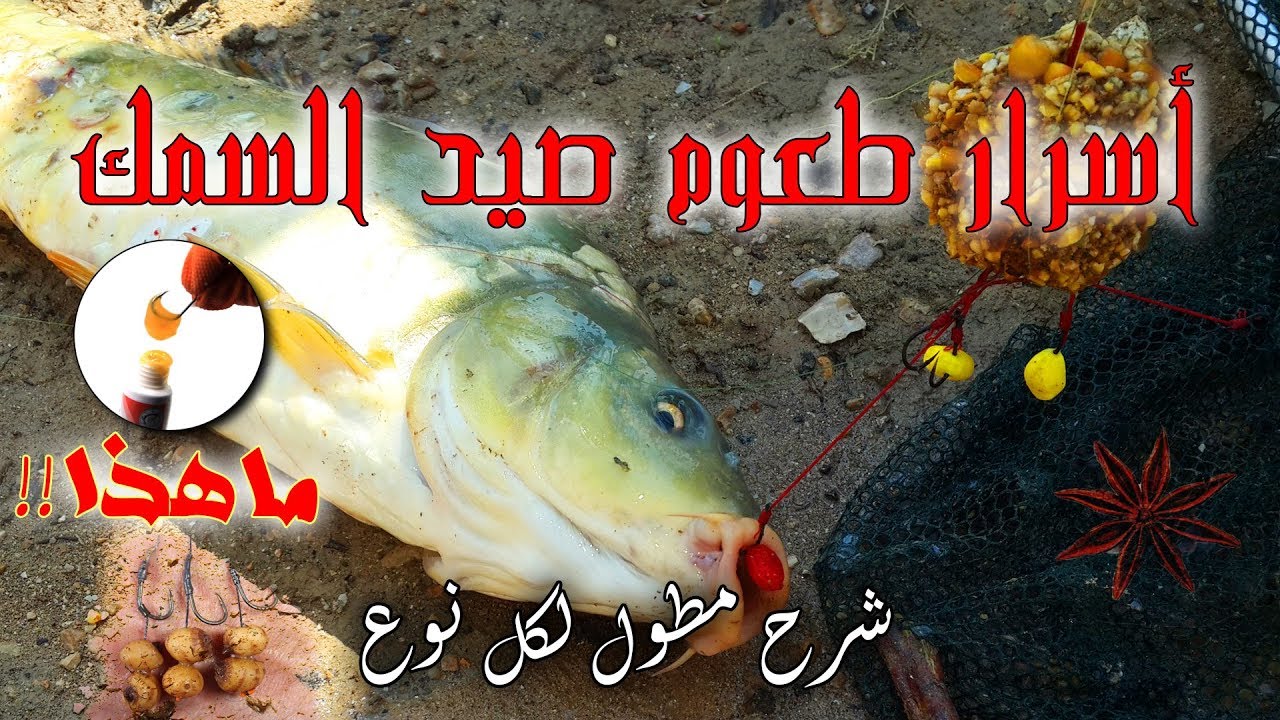 جديد طعوم صيد السمك الجزء الثاني - نصف ساعه صيد مع سام سند