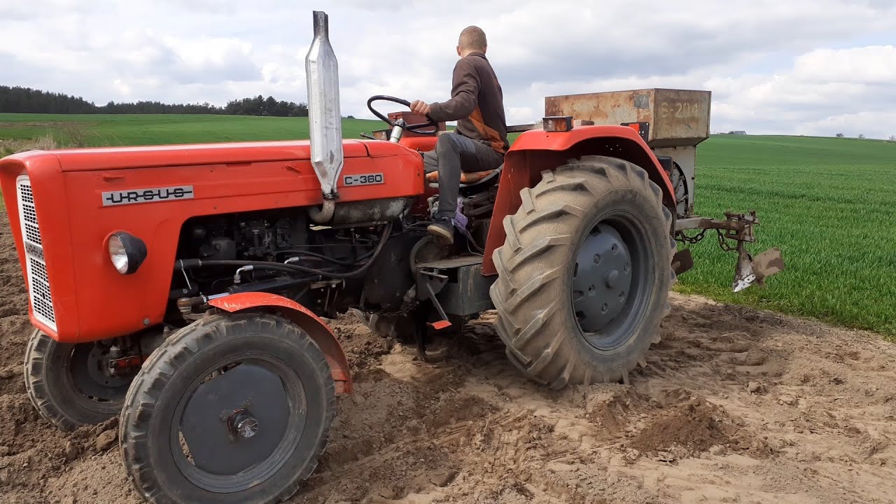 🌱 Sadzenie ziemniaków 🌱 🚜  Ursus C-4011 & Sadzarka Czeska S-204 🚜