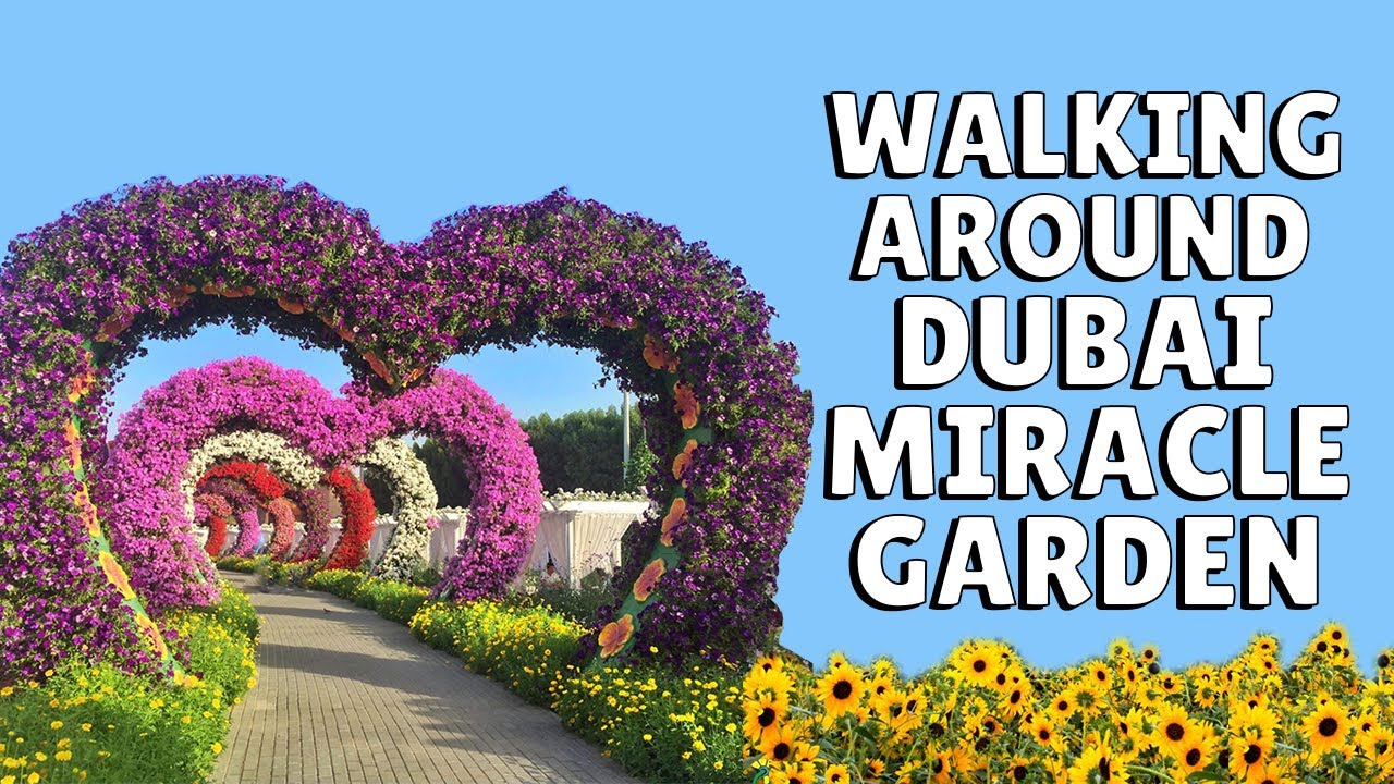 How to Get to Dubai Miracle Garden by RTA Bus