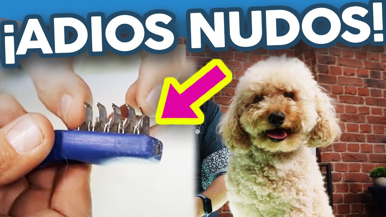 Cómo QUITAR NUDOS 🤔 de forma ¡FÁCIL y RÁPIDA!