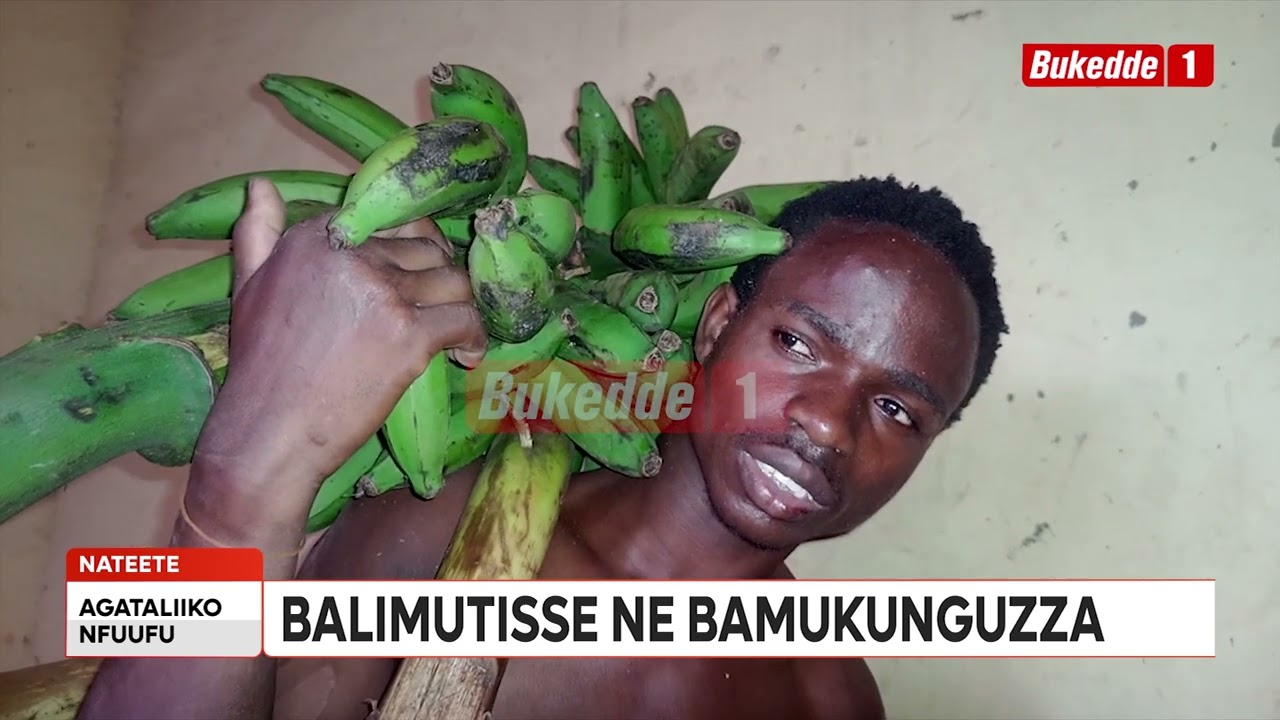 Agataliikonfuufu AKOZE ENGALO EMPAVU  MU KATALE TALIKIDDIRA