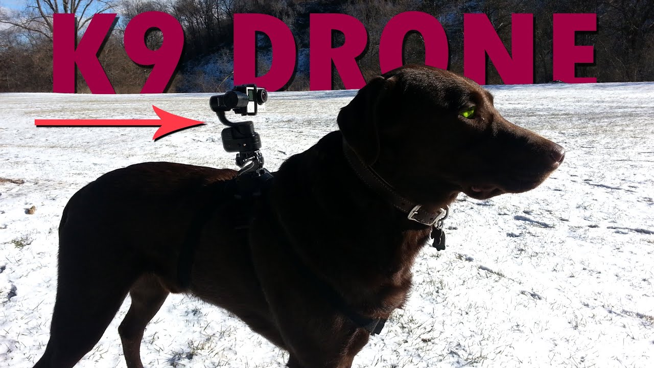 New GoPro All-terrain K-9 Drone (ZhiYun 3-axis Rider-M Gimbal)