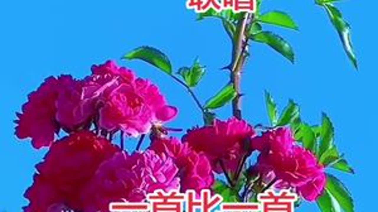 #秀出家乡美 #赏花🌸听歌🎶