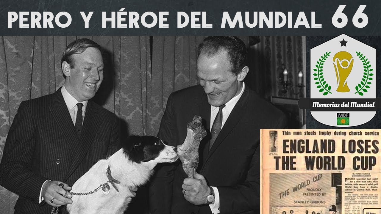 PICKLES, EL PERRO QUE ENCONTRÓ LA COPA DEL MUNDO (1966)🐕🏆