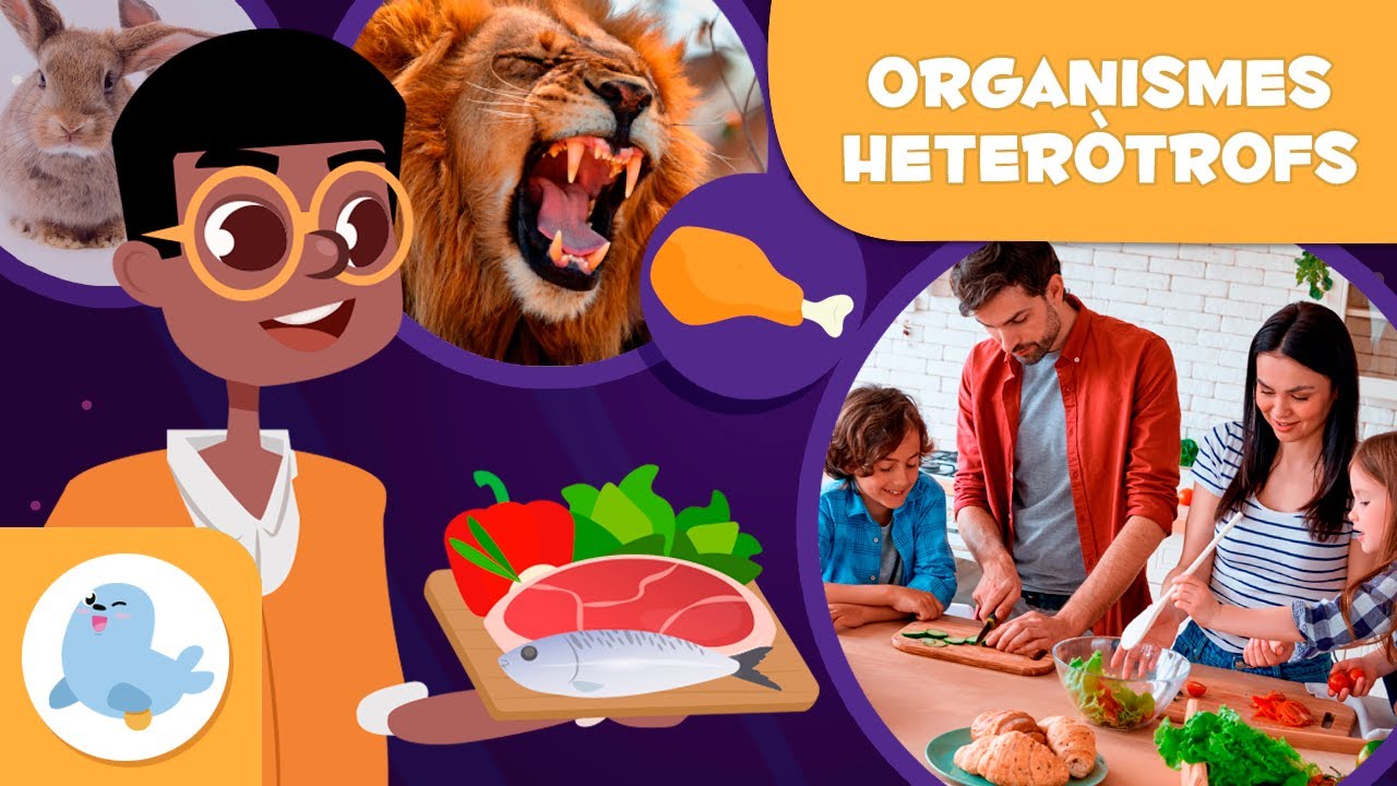 Animals CARNÍVORS, HERBÍVORS i OMNÍVORS - L'alimentació dels organismes heteròtrofs en català