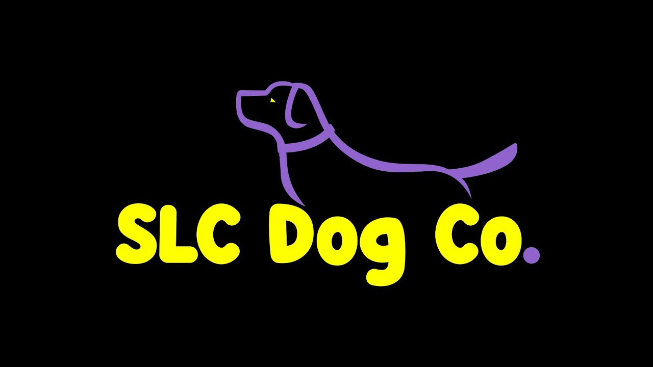 SLC Dog Co. Drago second week of training German Shepherd
