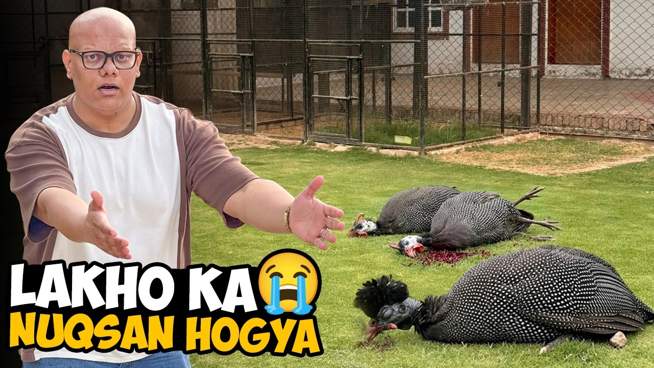 Zehreela Janwar Birds Ko Kaat Gaya 😱Lakhon Ka Bird Mar Gaya 😢 | BT Farm Stories