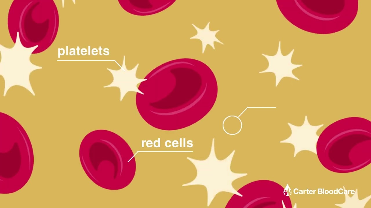 What is an Apheresis Donation?