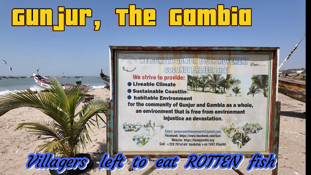 GUNJUR: Gambia 🇬🇲 Why Village community are left to Eat ROTTEN fish