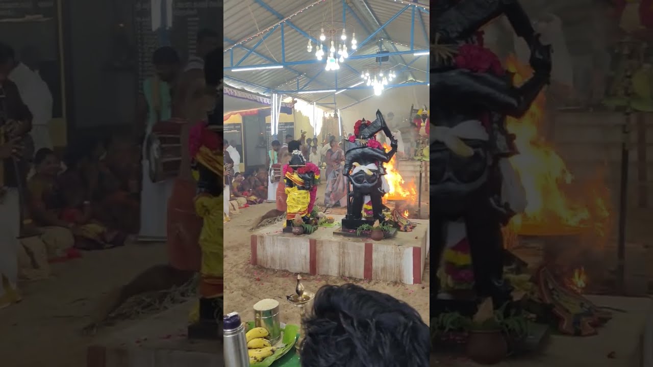 Avaraikulam வழிவேட்டை சுடலைமாடசாமி🙏🙏🙏கோயில் கொடை மதியபூஜை/சுடலைமாடசாமிஆட்டம்#Avaraikulam#sudalimadan