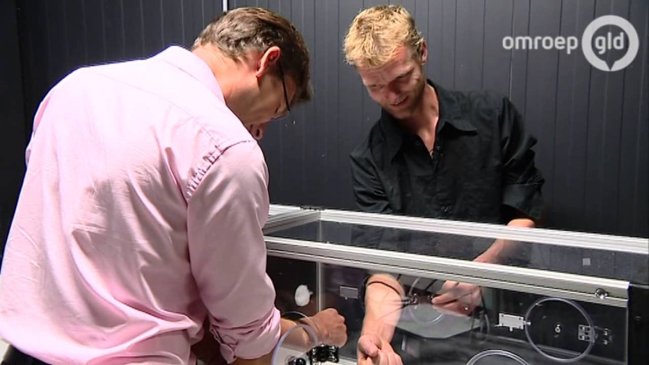 Waarom muggen u altijd moeten hebben