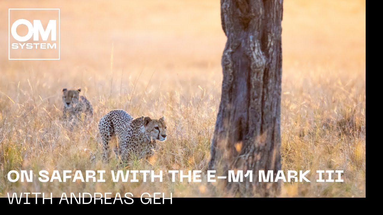 Olympus E-M1 Mark III on safari with Andreas Geh