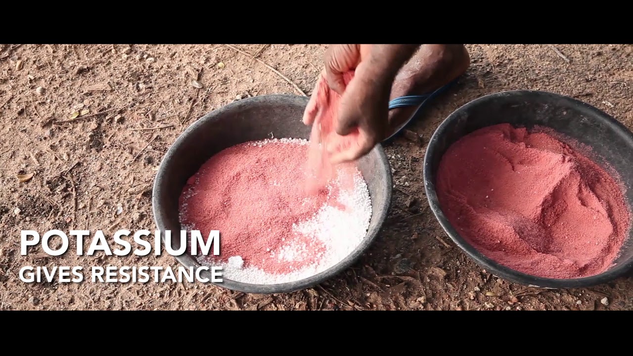 Integrated Nutrient Management
