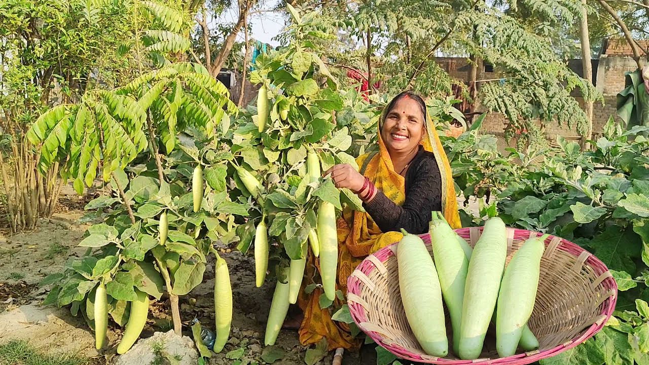 हरे मसाले से हरे बैंगन और आलू की सब्जी इस तरीके से बनाएंगे तो उंगलियों को चाट चाट कर खायेंगे ||