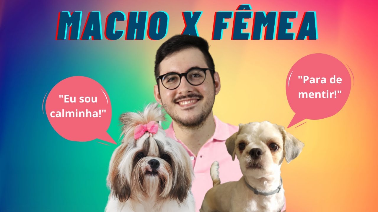 QUAL ESCOLHER? DIFERENÇAS ENTRE CACHORROS MACHO E FÊMEA
