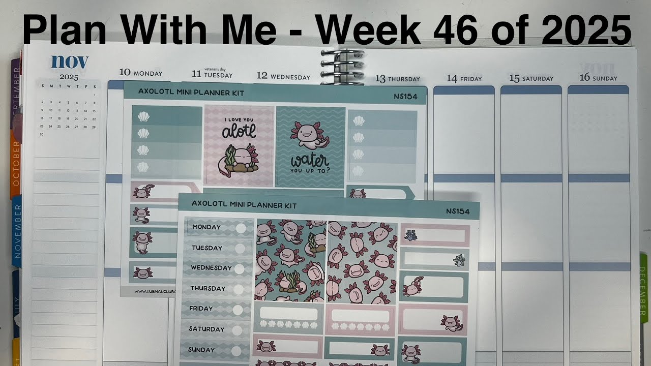 Destiny Plans - Plan With Me - Week 46 of 2025 (Erin Condren Vertical LifePlanner)