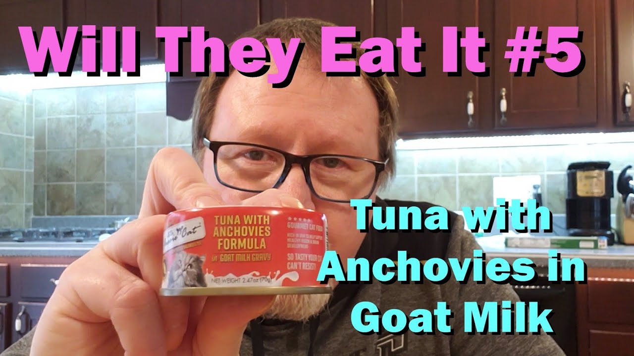 Will They Eat It 5 - Fussie Cat Tuna and Anchovies in Goat Milk