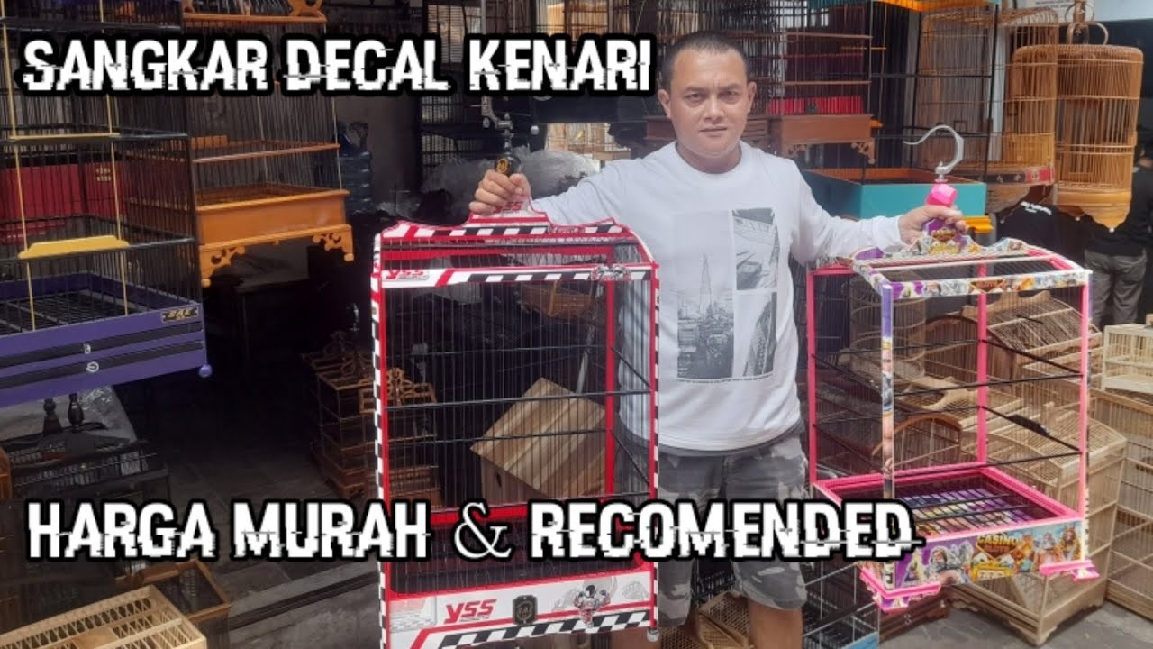Sangkar Decal Kenari Harga Murah #sangkar #sangkarburung #sangkarkenari #sangkarcucakijo