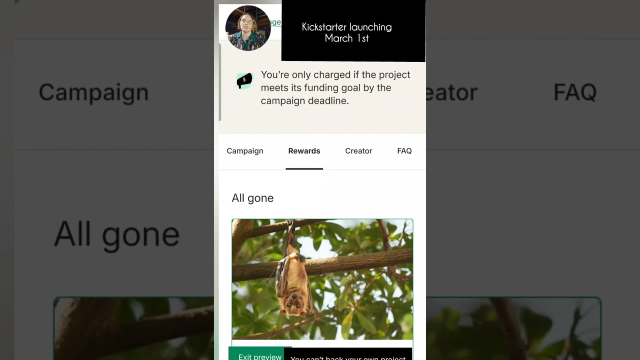 SciArt for Bats Kickstarter Walkthrough